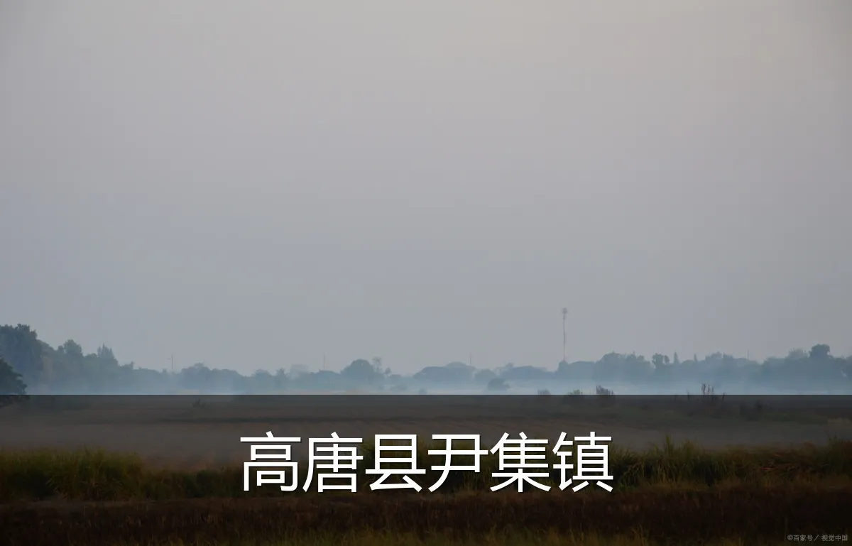 高唐县尹集镇