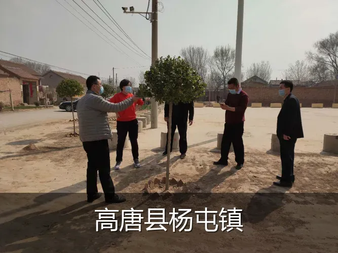 高唐县杨屯镇